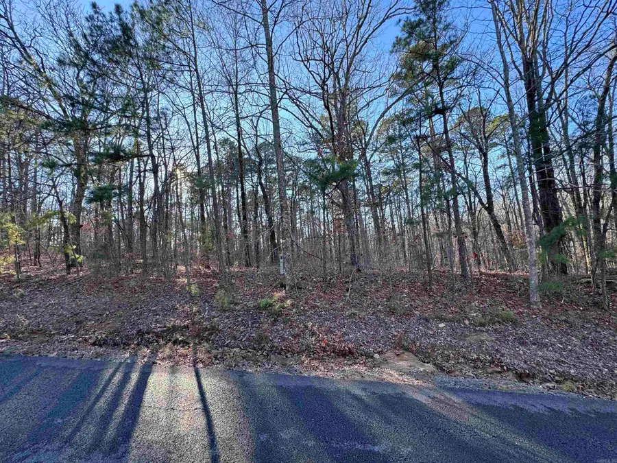 000 N Miller Point Road, Quitman, AR 72131 - #2