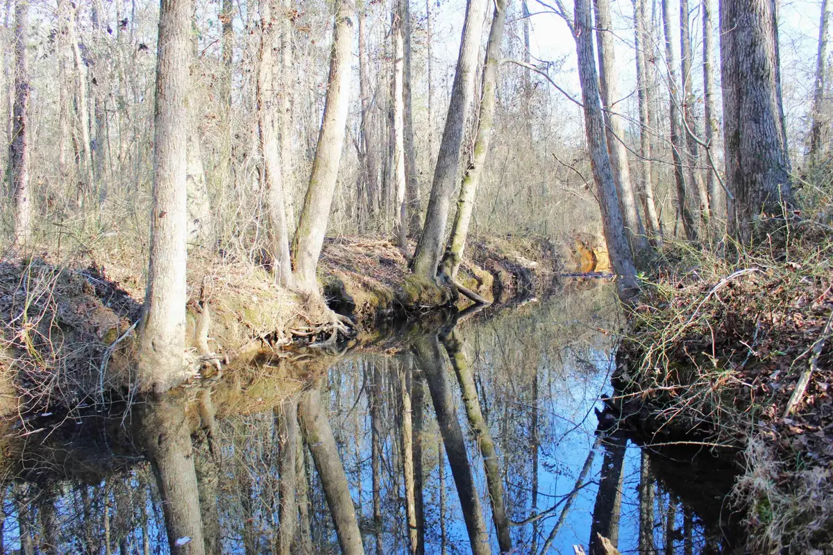 0 E Bivens Road, Quitman, AR 72131 - #1