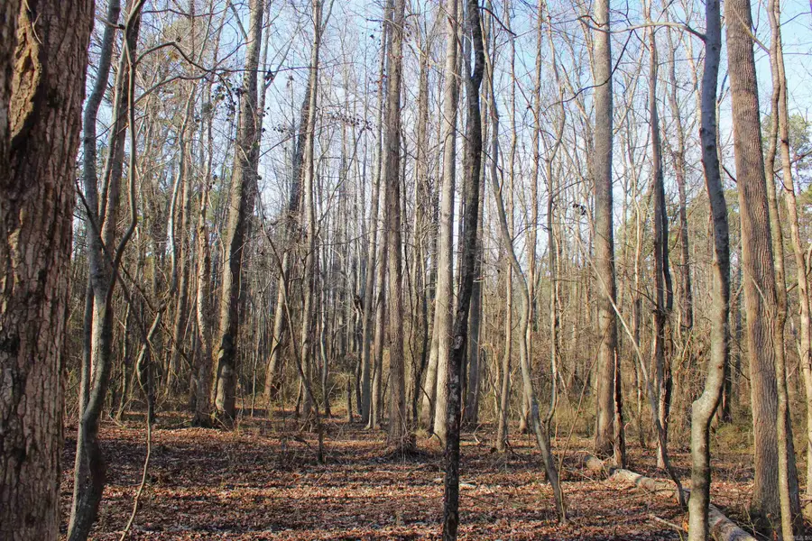 0 E Bivens Road, Quitman, AR 72131 - #3