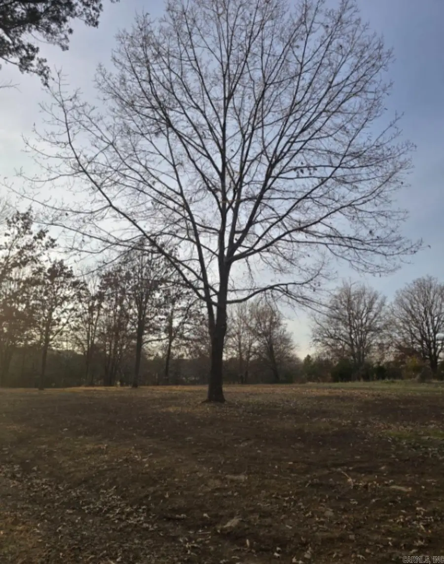 11404 Lucian Wood Road, Cedarville, AR 72932 - #2