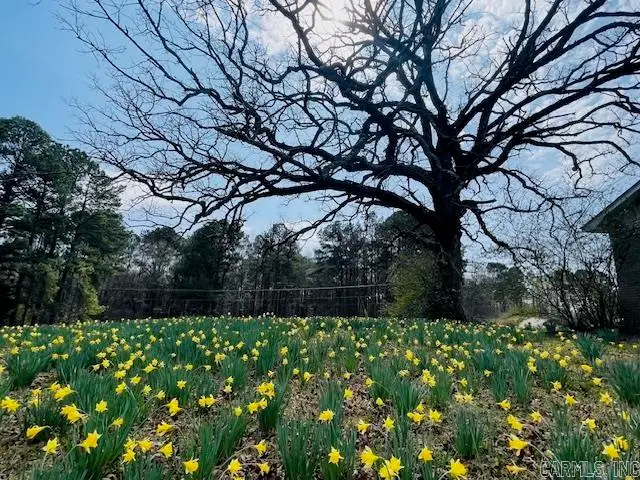 4708 Honeysuckle Road, Little Rock, AR 72206 - #2