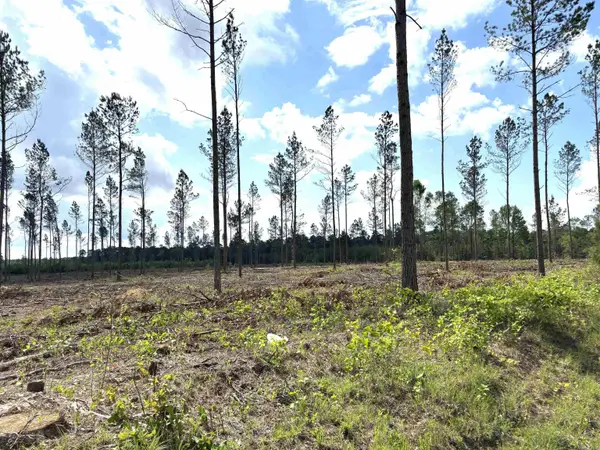 0 Grant County Road 9 (b), Sheridan, AR 72150