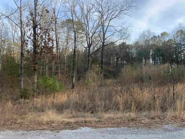 000 Red Fox, Greers Ferry, AR 72067