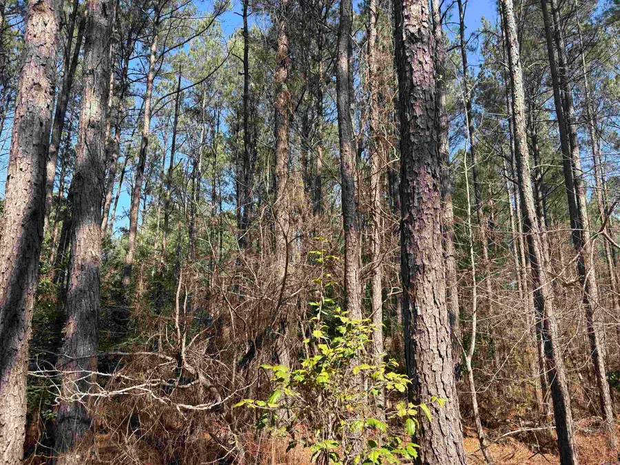 0 Hwy 46 N, Sheridan, AR 72150 - #2