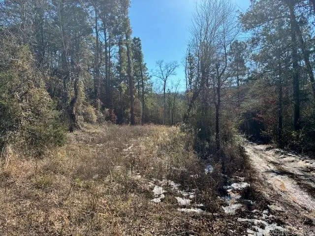 402 Cody Drive, Clinton, AR 72031 - #2