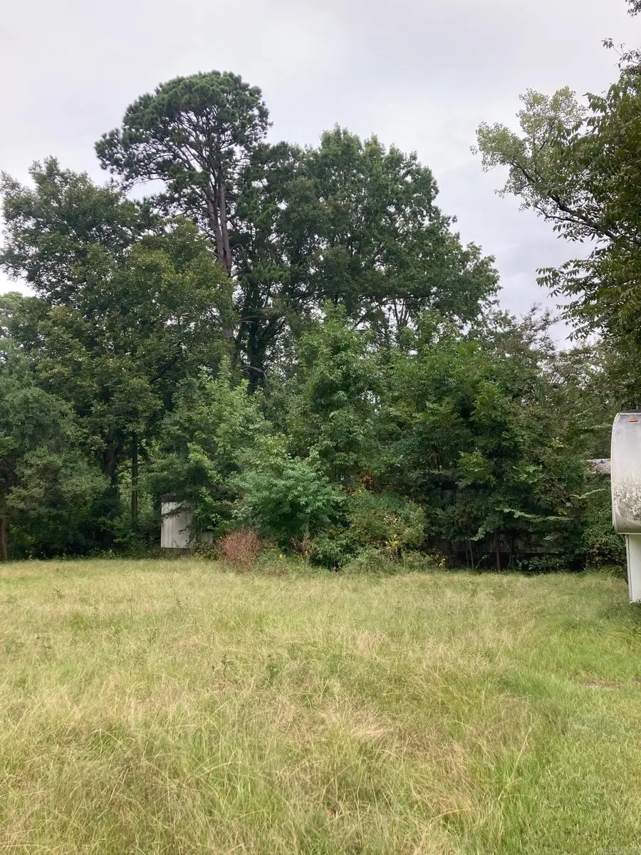 10690 Crystal Hill, Maumelle, AR 72113 - #3