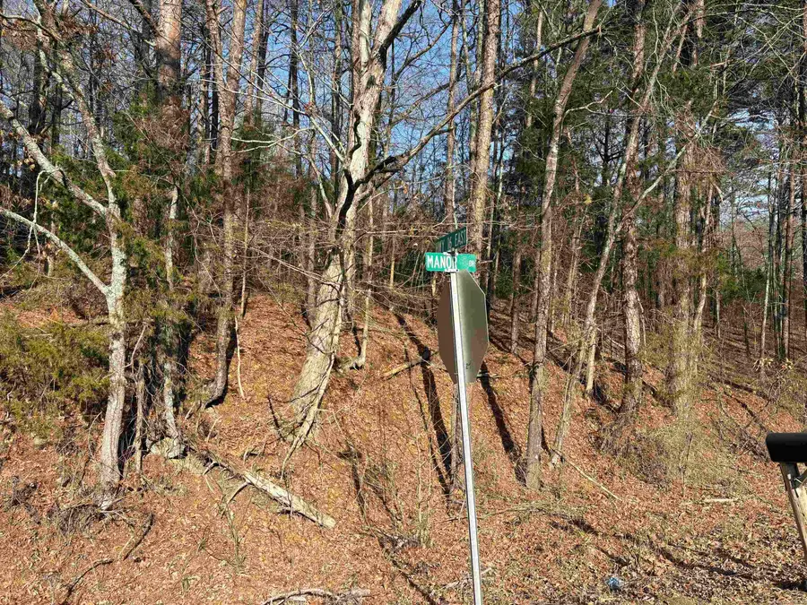 Manor And Hwy.9, Shirley, AR 72153 - #2