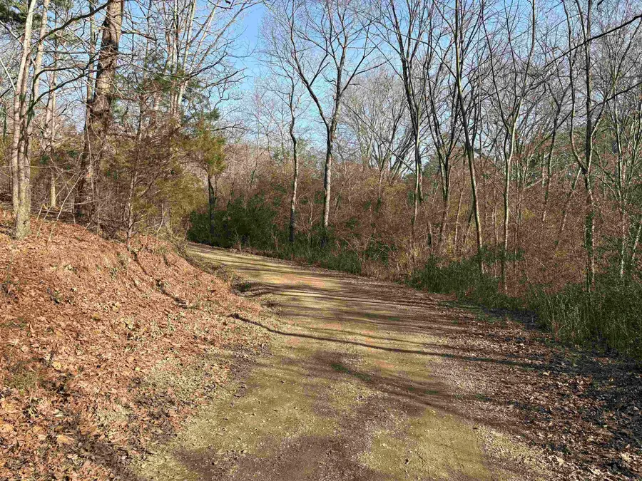 Manor And Hwy.9, Shirley, AR 72153 - #3