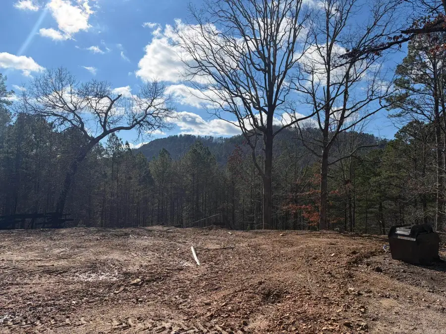 306 Schwinn Hill Road, Hot Springs, AR 71909 - #3