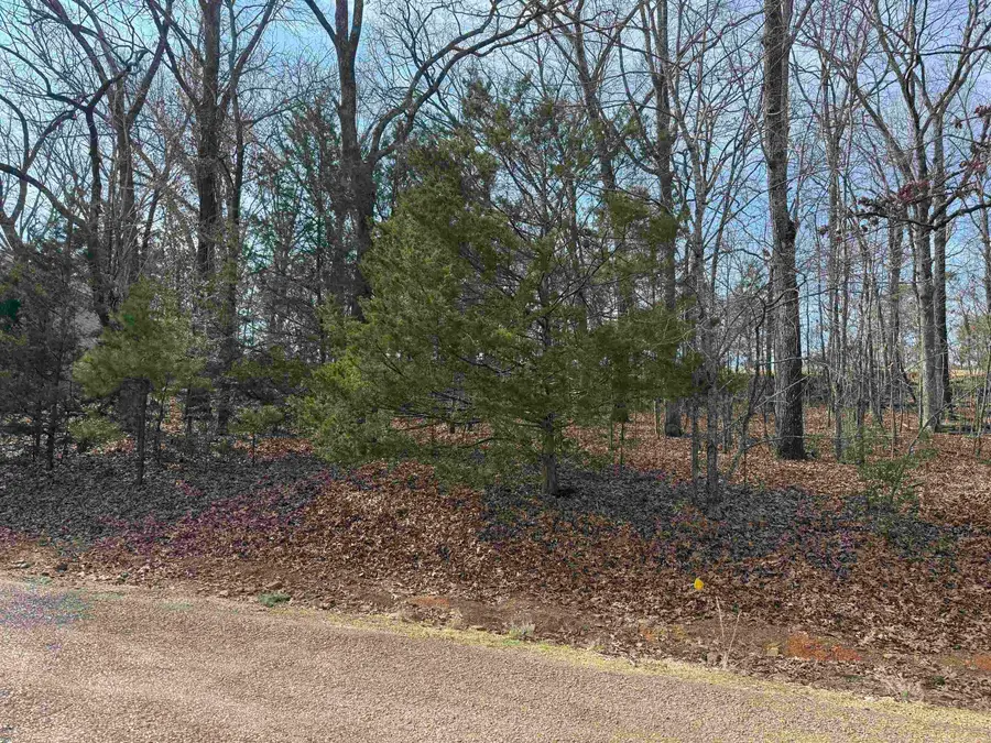 521 Birchbrook Rd, Heber Springs, AR 72543 - #3