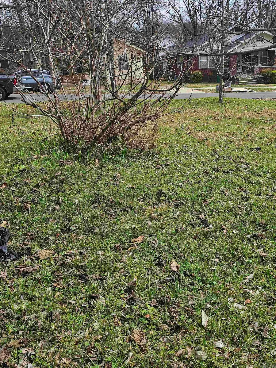 Dennison Street, Little Rock, AR 72202 - #3