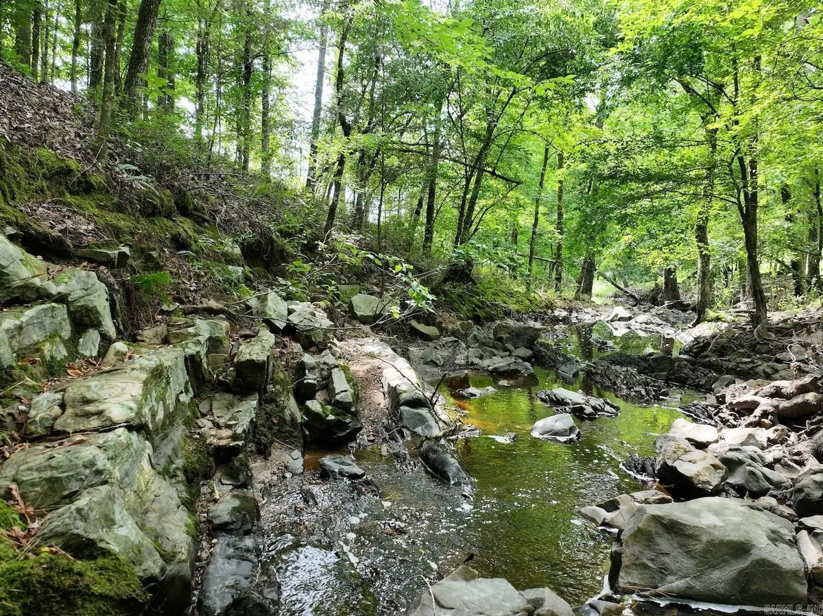 TBD Ebenezer Road, Amity, AR 71921 - #1