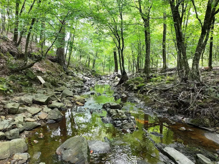 TBD Ebenezer Road, Amity, AR 71921 - #2