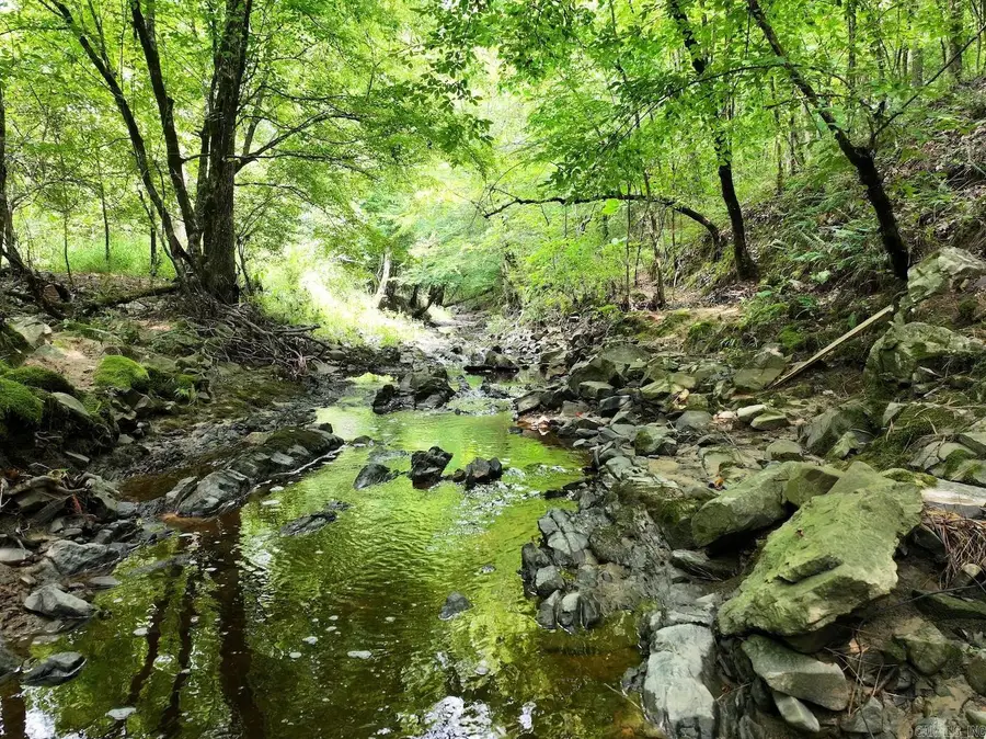 TBD Ebenezer Road, Amity, AR 71921 - #3