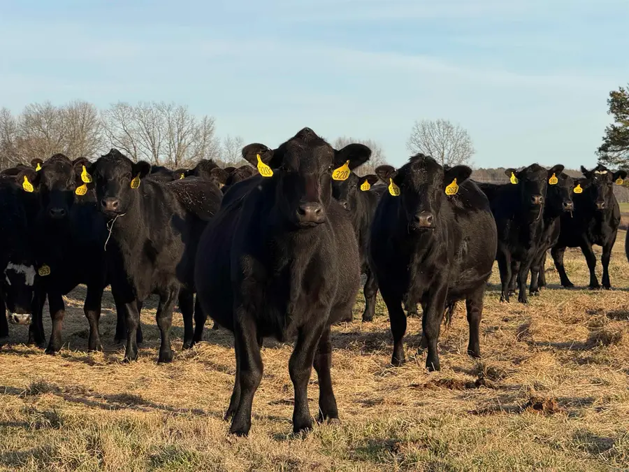 Address Withheld By Seller, Rose Bud, AR 72137 - #3