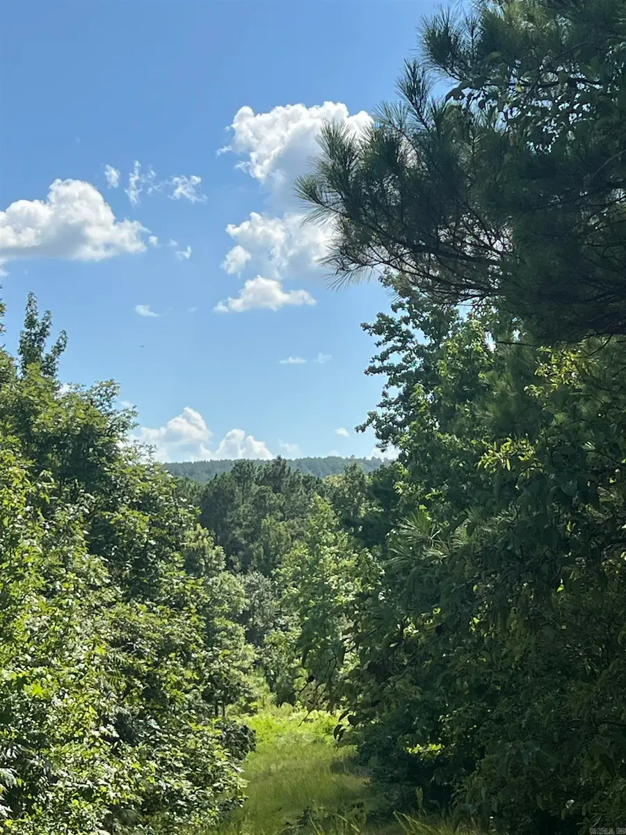 xx John Ashley, Amity, AR 71921 - #2