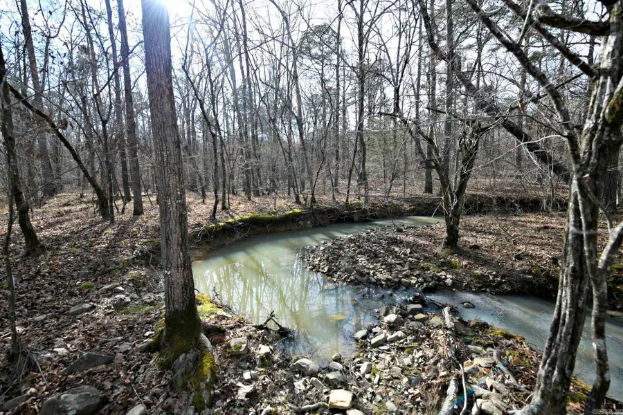 110 Moon Beam Lane, Mena, AR 71953 - #3