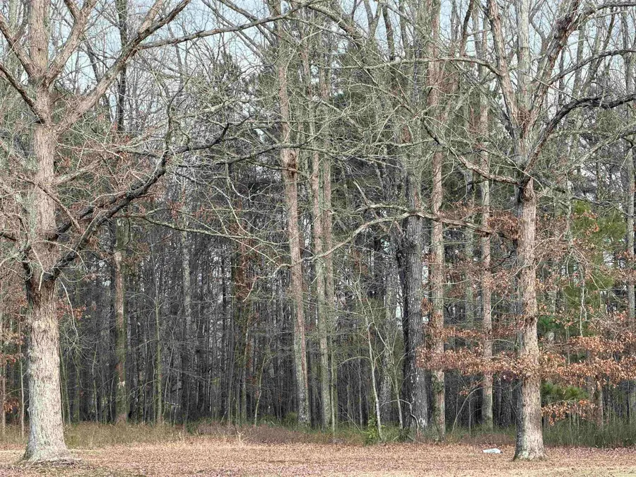 0 Mcdaniel, White Hall, AR 71602 - #3