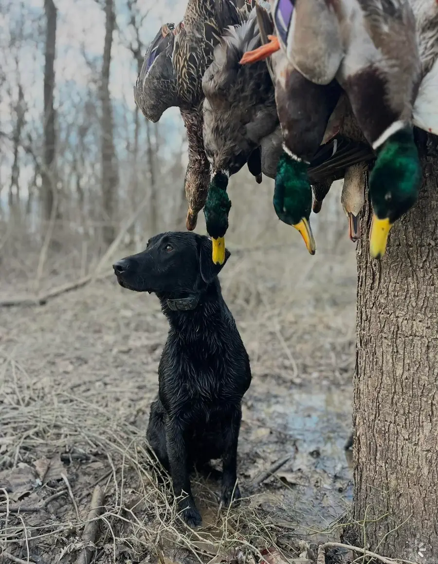 Address Withheld By Seller, Augusta, AR 72006 - #2