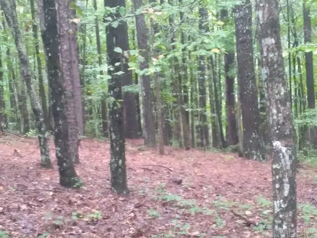 TBD Camden Lane, Bismarck Township, AR 71929 - #2