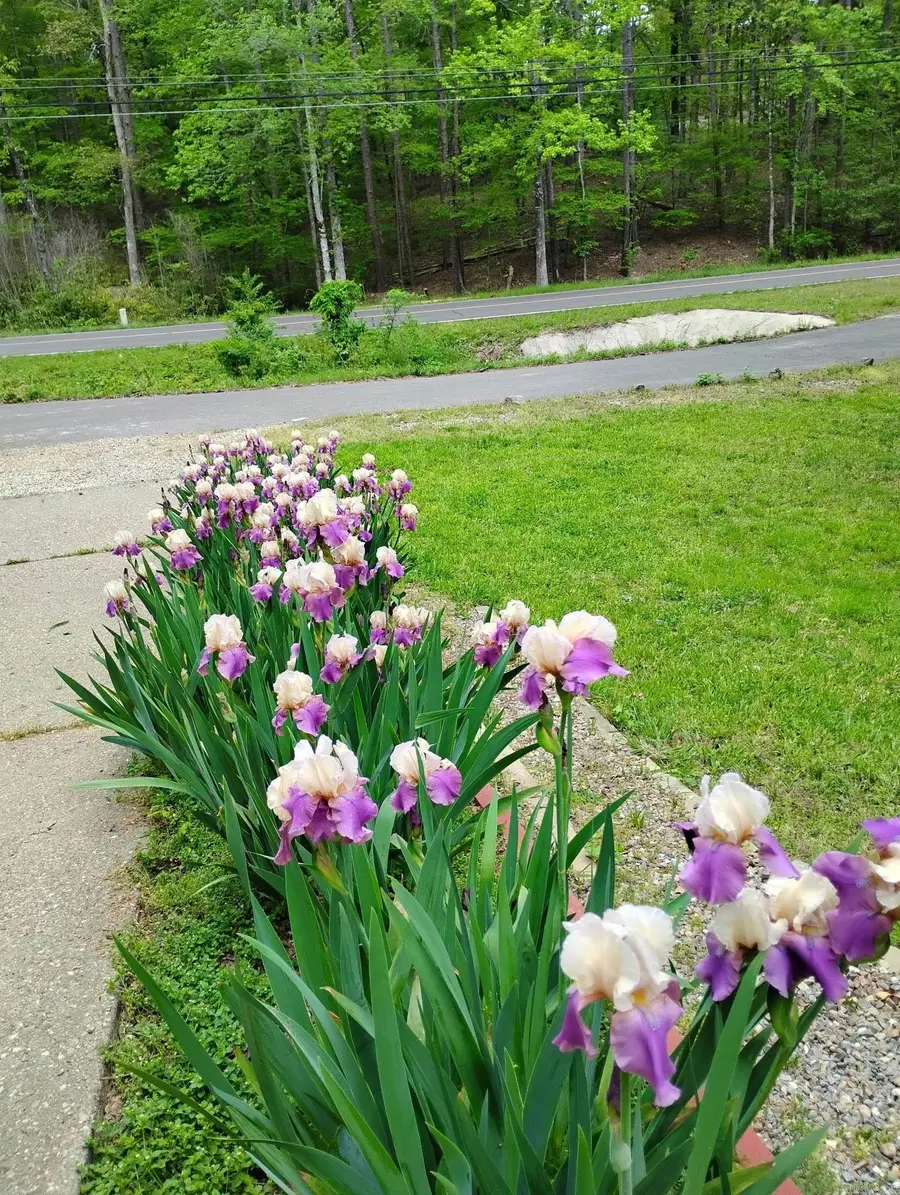 9 Sabadell Lane, Hot Springs Village, AR 71909 - #2