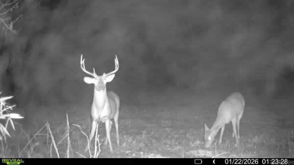 Address Withheld By Seller, Widener, AR 72335