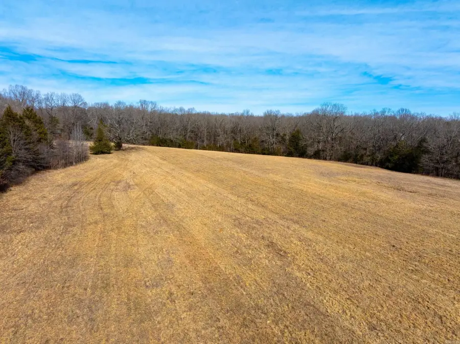 0 Lawrence Rd 228, Black Rock Township, AR 27415 - #3