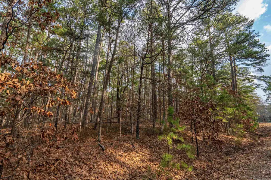 XX Pyrenees Way, Hot Springs, AR 71913 - #2