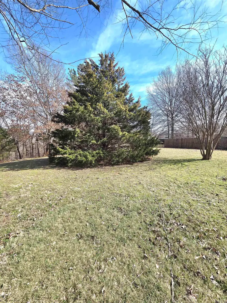 3201 Mckinney Street, Mountain View, AR 72560 - #2