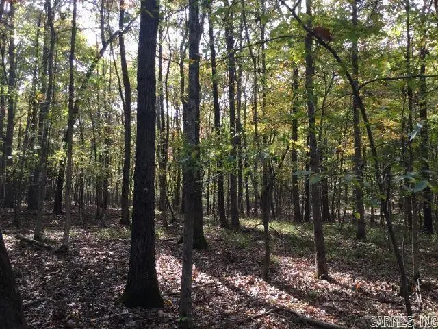 Unk Polk Road 293, Mena, AR 71953 - #1