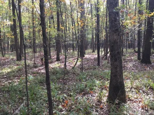 Unk Polk Road 293, Mena, AR 71953 - #2