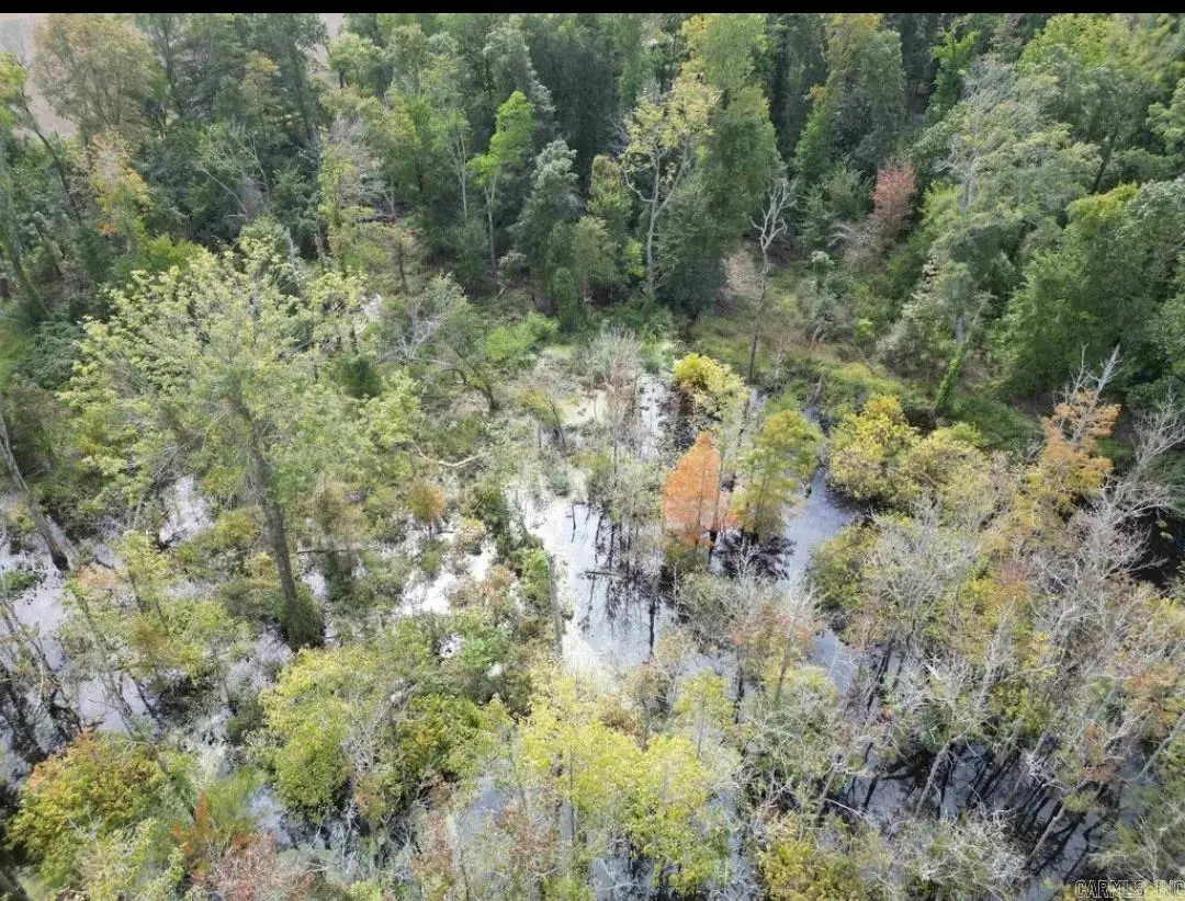 0 Lee Rd 177, Big Creek, AR 72360 - #1