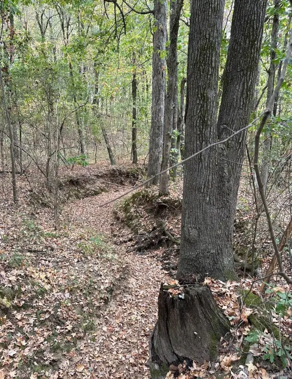 3.03 Acres County Road 389, Bono, AR 72416