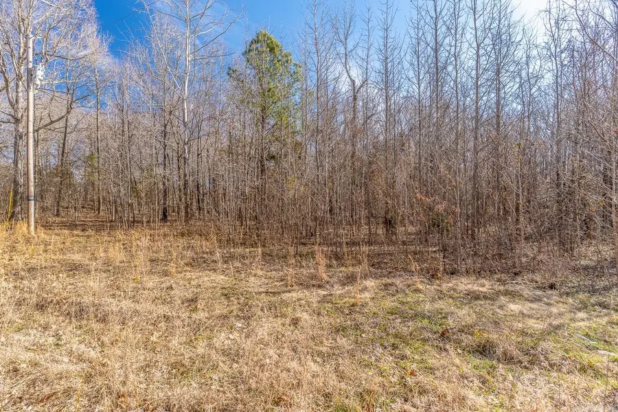 3.03 Acres County Road 389, Bono, AR 72416 - #2