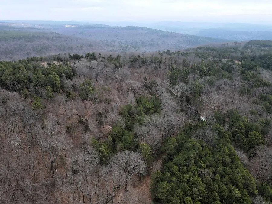 000 Jack Vaughn Road, Clinton, AR 72031 - #3