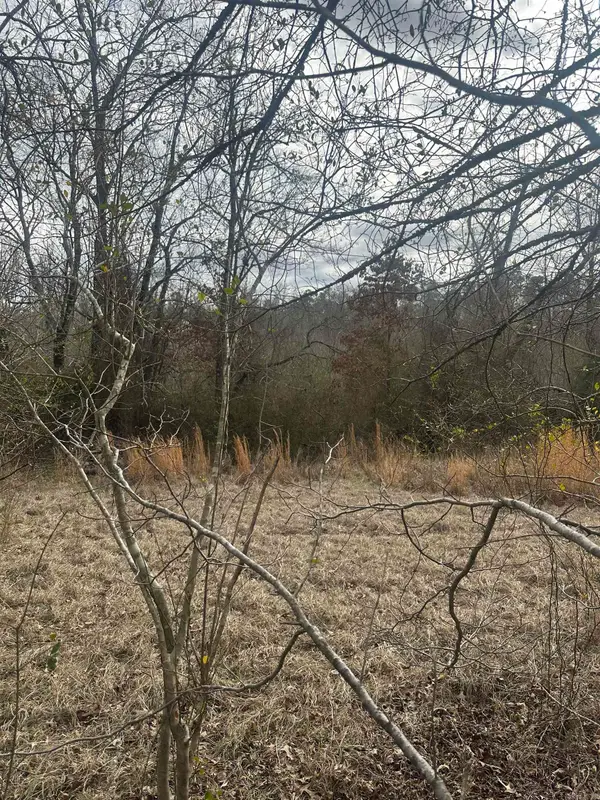 00M Walnut Valley Road, Hot Springs Village, AR 71909