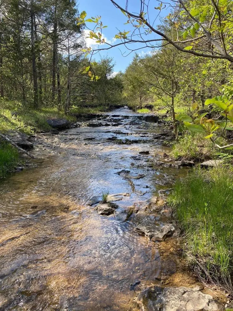 13523 Hwy 62 East, Henderson, AR 72544 - #3