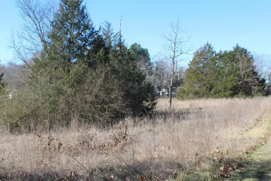 3481 S Hwy 14, Yellville, AR 72687 - #2