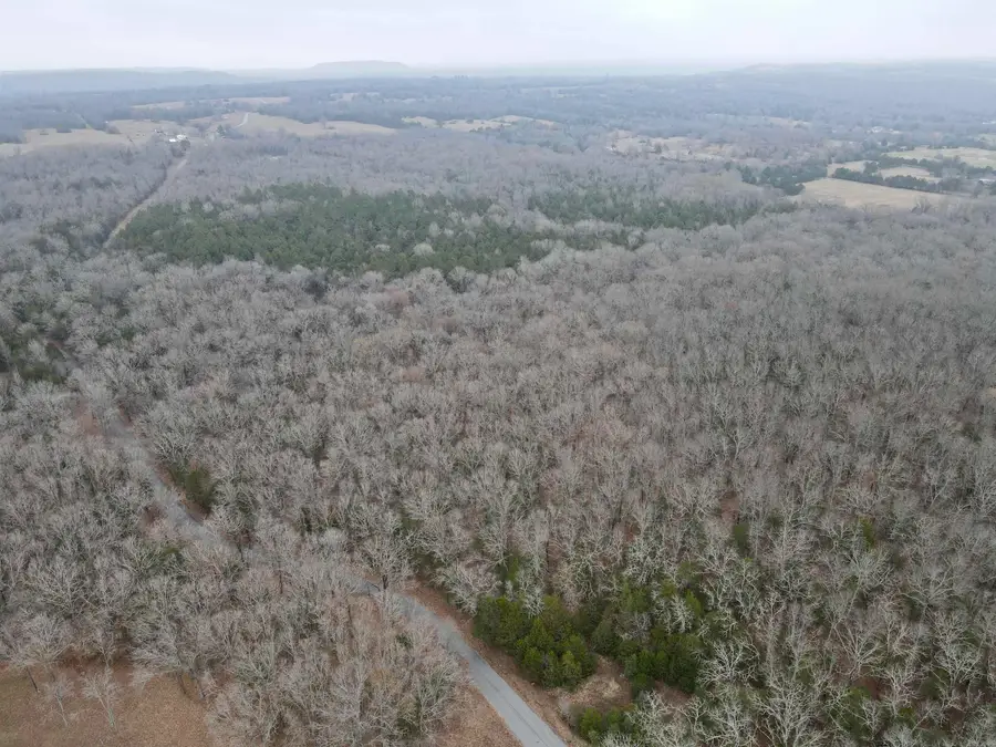 Address Withheld By Seller, Greenbrier, AR 72058 - #2