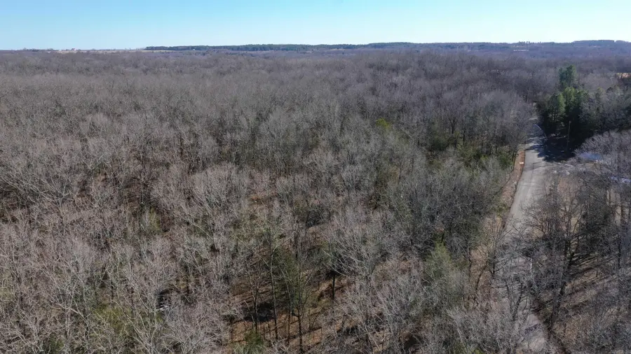 Address Withheld By Seller, Greenbrier, AR 72058 - #3