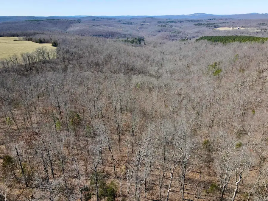 Address Withheld By Seller, Jerusalem, AR 72080 - #3