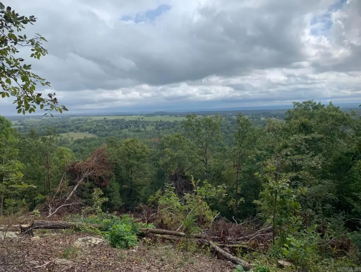 00 Ward Cove, Greenbrier, AR 72058 - #1