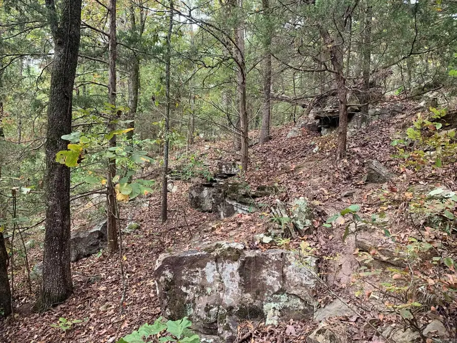 00 Ward Cove, Greenbrier, AR 72058 - #2