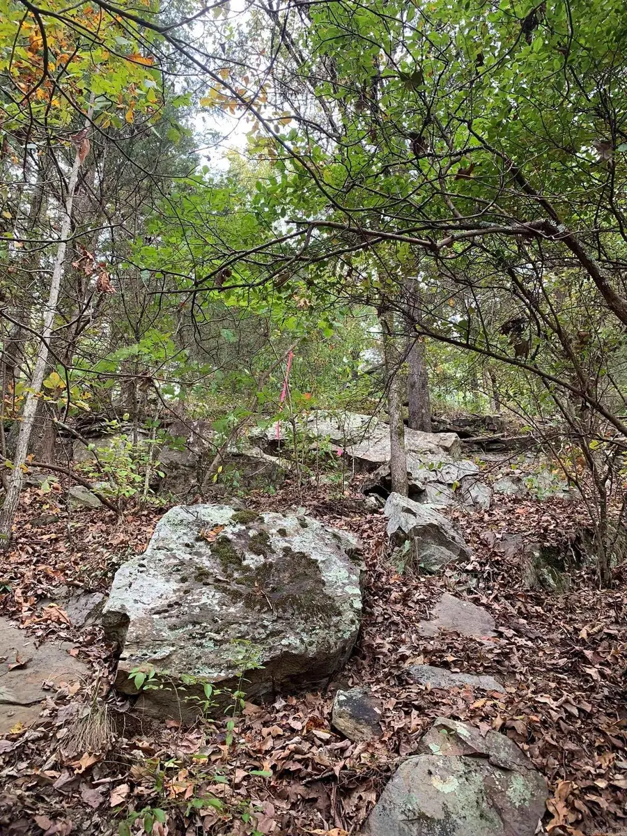 00 Ward Cove, Greenbrier, AR 72058 - #3