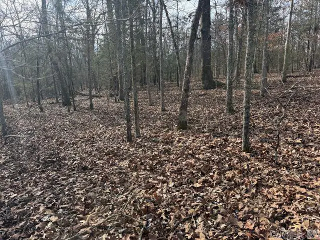 Tract 1 Mc 8003, Yellville, AR 72687 - #2