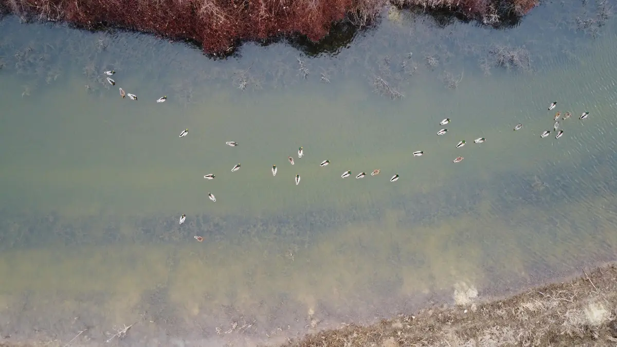 00 Cr 242 Road, Wynne, AR 72396 - #1