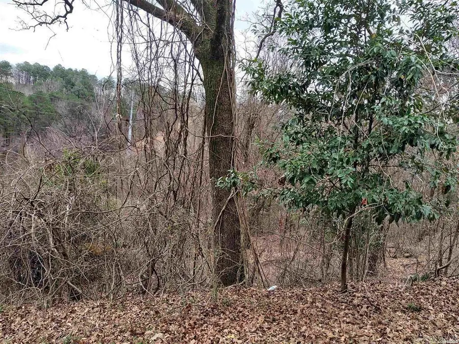 TBD Wade Street, Hot Springs, AR 71901 - #3