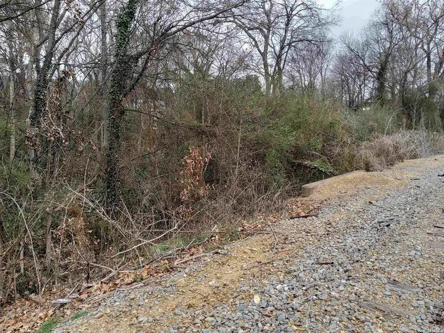 TBD Alonzo Street, Hot Springs, AR 71913 - #2
