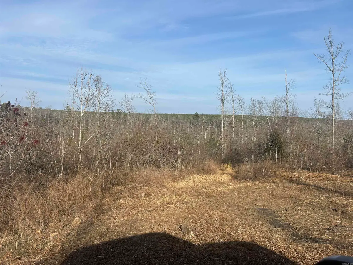 Linn Creek Road, Dennard, AR 72629 - #1