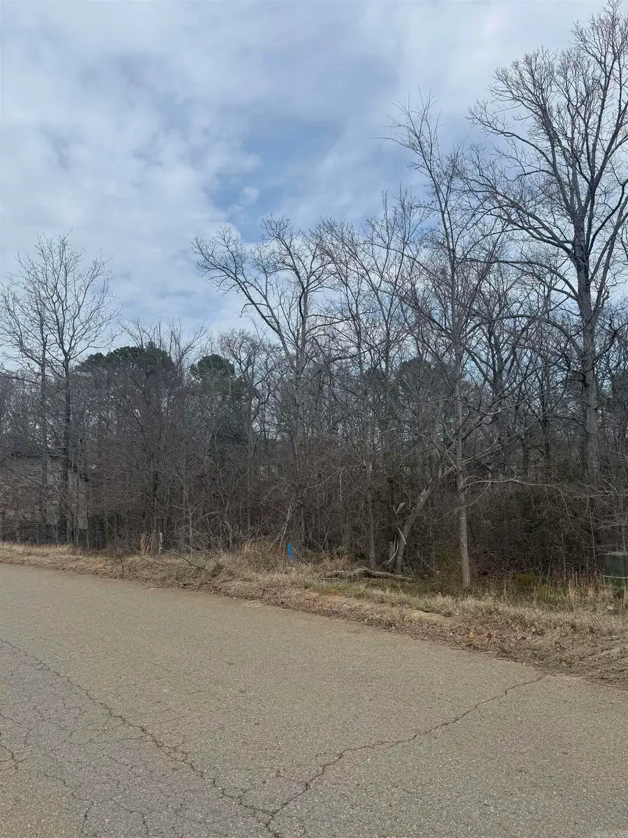 5010 Boulder Point Dr, Shannon Hills, AR 72103 - #3